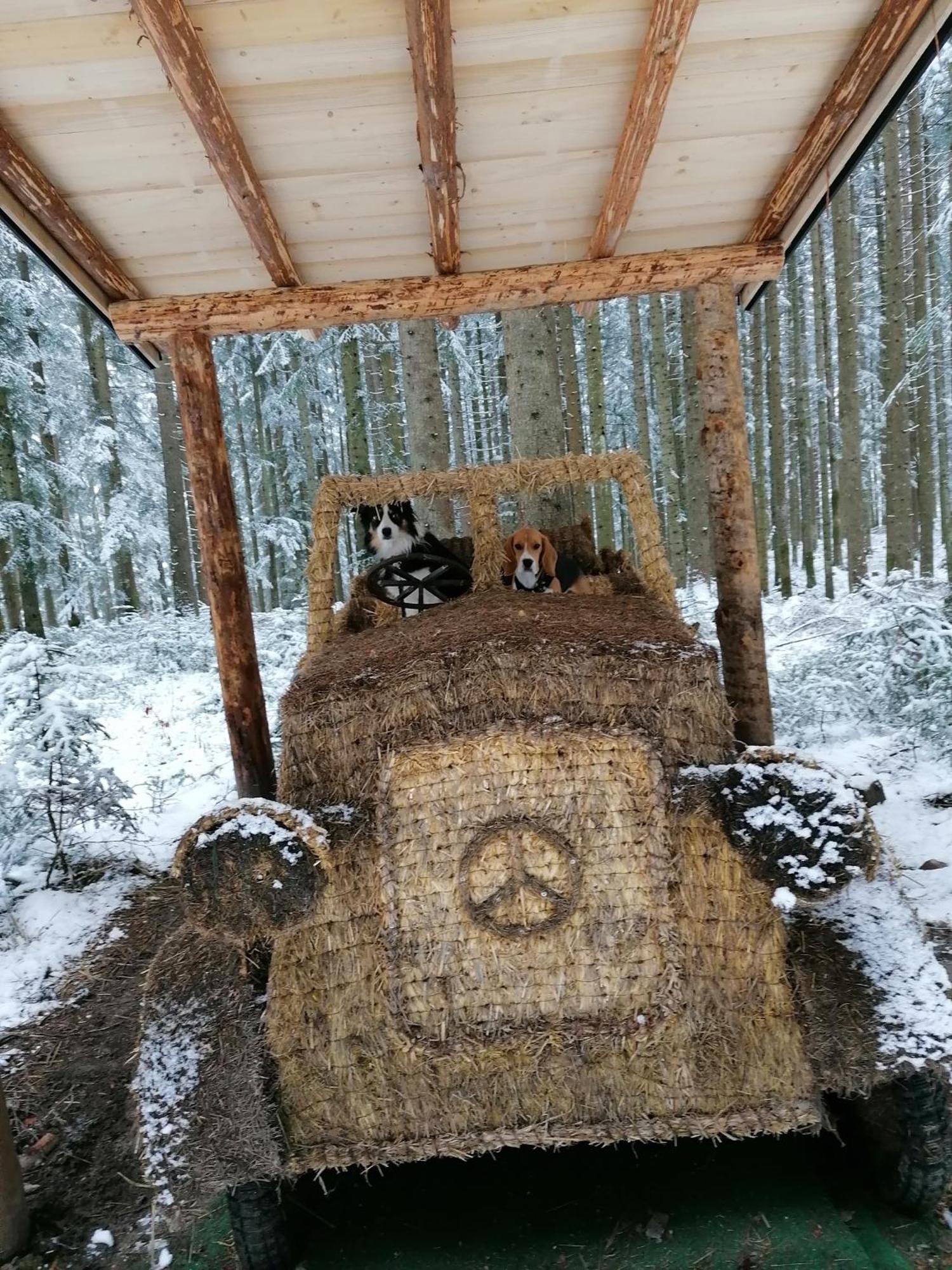 Kachelofenwohnung Poelzleitner 安纳贝格-伦格茨 外观 照片
